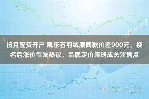 按月配资开户 凯乐石羽绒服同款价差900元，换名后涨价引发热议，品牌定价策略成关注焦点